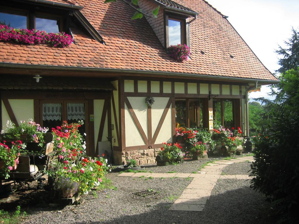Bed and Breakfast Le Neufeld Oberhaslach Exterior foto