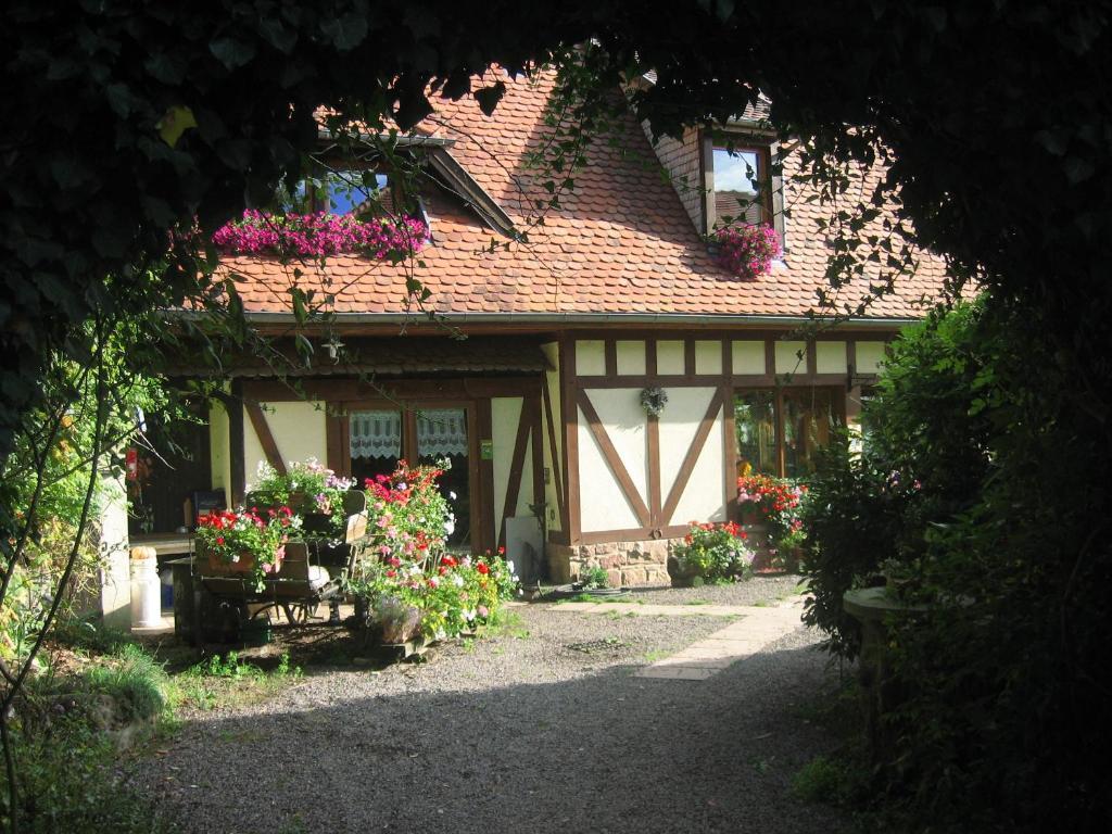 Bed and Breakfast Le Neufeld Oberhaslach Exterior foto
