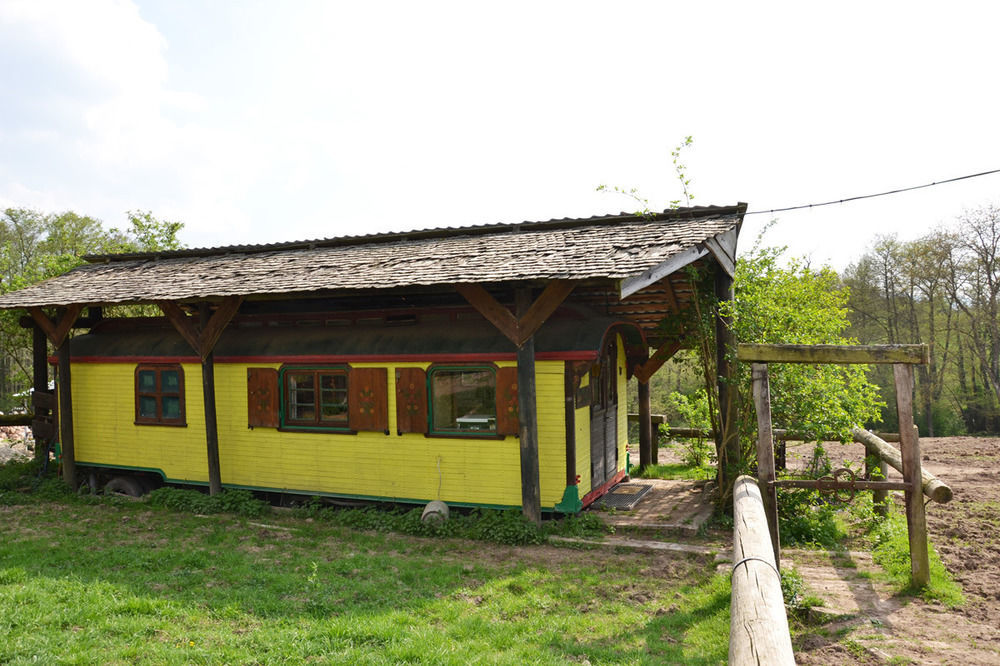 Bed and Breakfast Le Neufeld Oberhaslach Exterior foto