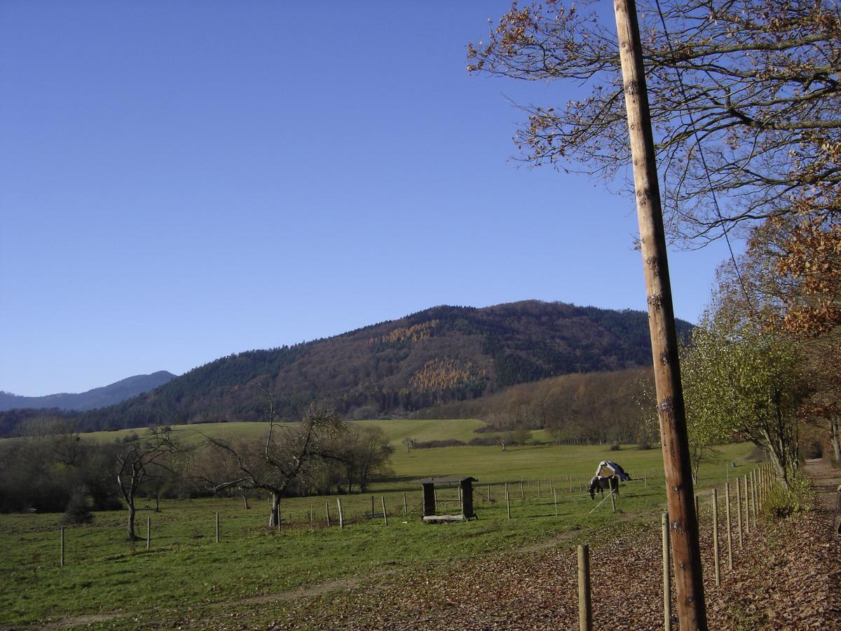 Bed and Breakfast Le Neufeld Oberhaslach Exterior foto